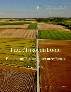 Peace Through Food: Ending the Hunger-Instability Nexus. Farmland with tracks between each field.